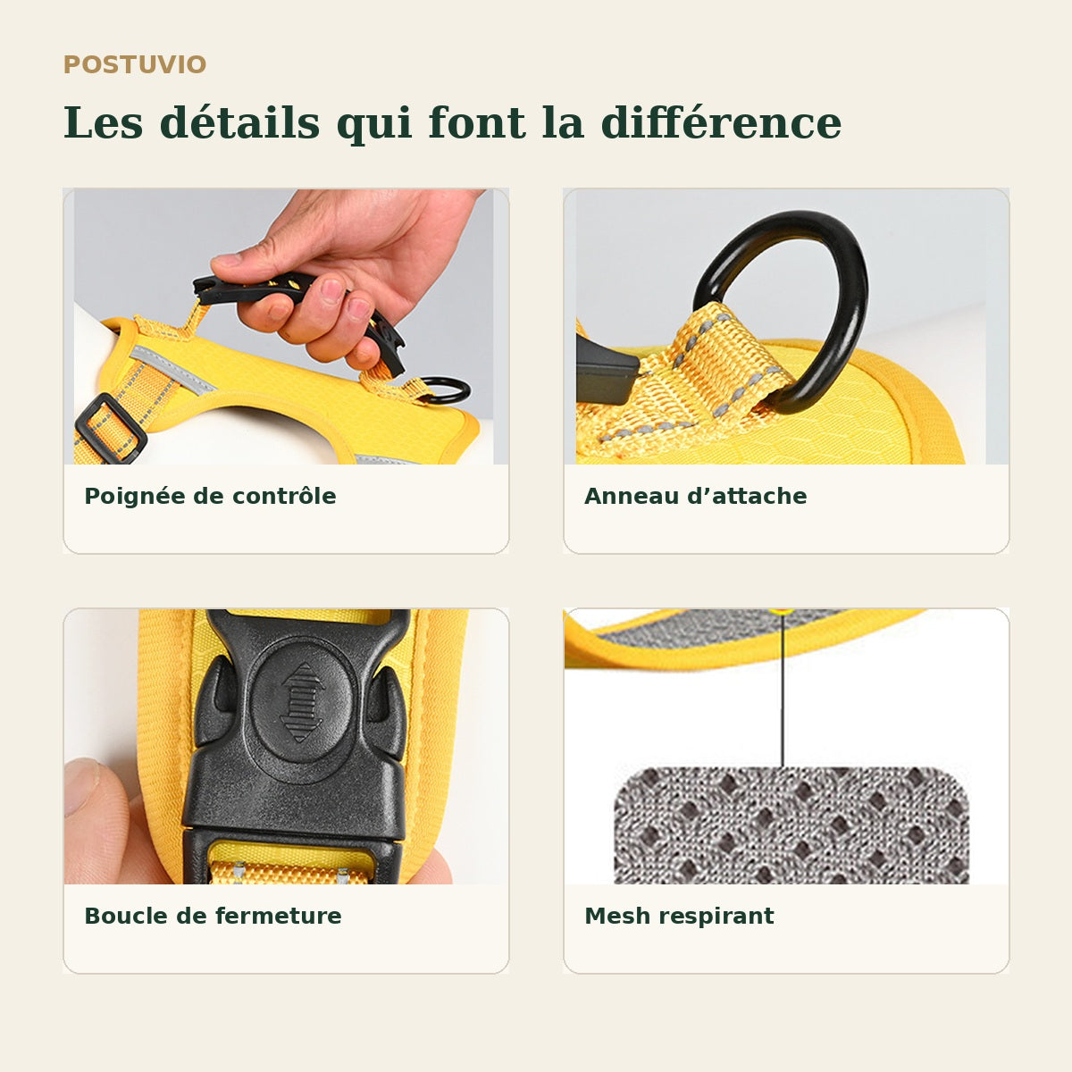 Détails techniques du harnais POSTUVIO : poignée, anneau, boucle et mesh